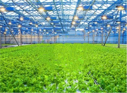 NG´óÎę̀(ÖйúÓÎ)ÏàÐÅÆ·ÅƵÄʵÁ¦