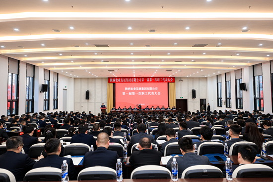 NG´óÎę̀(ÖйúÓÎ)ÏàÐÅÆ·ÅƵÄʵÁ¦