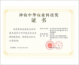 NG����̨(�й���)����Ʒ�Ƶ�ʵ��