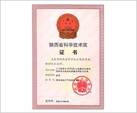 NG����̨(�й���)����Ʒ�Ƶ�ʵ��