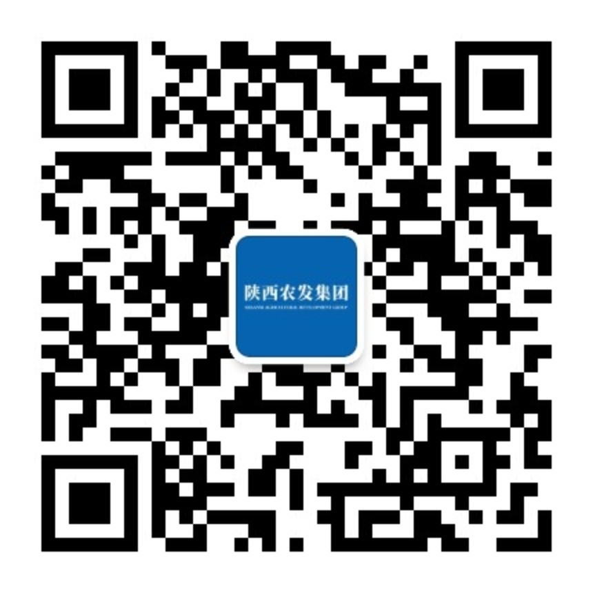 NG����̨(�й���)����Ʒ�Ƶ�ʵ��