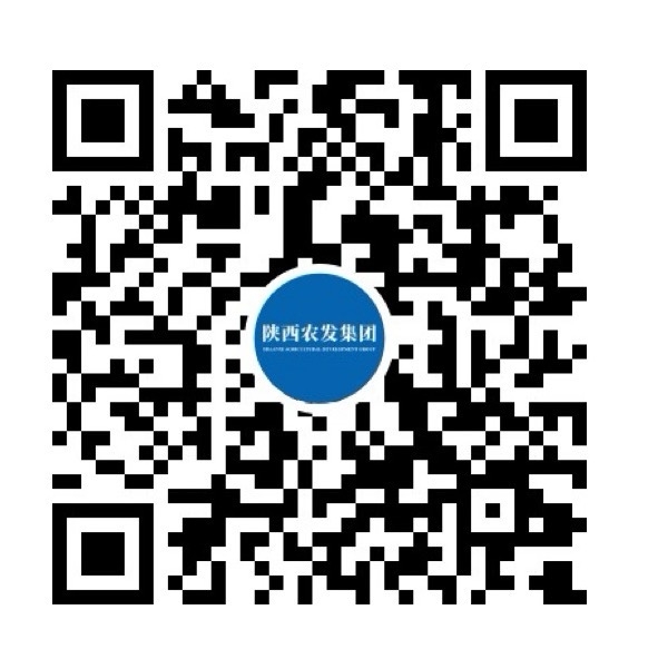 NG����̨(�й���)����Ʒ�Ƶ�ʵ��